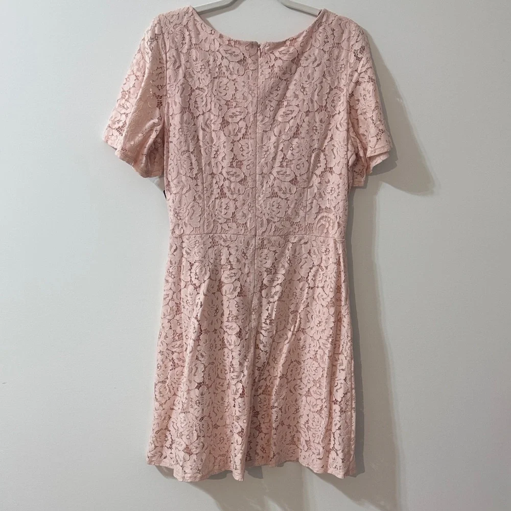 Jessica Howard Women's Blush Pink Lace Fit-and-Flare Dress Size 14